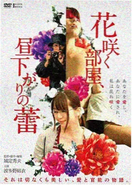 千灯渡 奇幻民俗动画电影封面